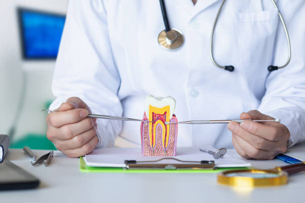 Best Emergency Tooth Extraction in Papillion, NE